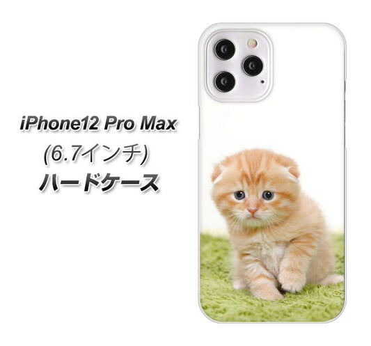 iPhone12 Pro Max 高画質仕上げ 背面印刷 ハードケース 【VA802 ネコこっそり】