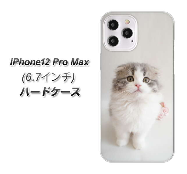 iPhone12 Pro Max 高画質仕上げ 背面印刷 ハードケース 【VA803 まっていますネコ】