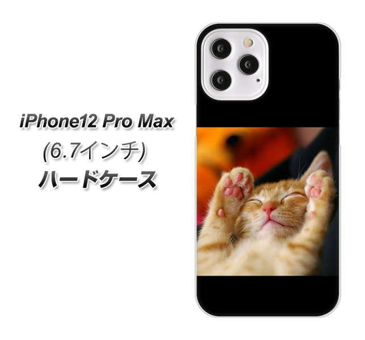 iPhone12 Pro Max 高画質仕上げ 背面印刷 ハードケース 【VA804 爆睡するネコ】