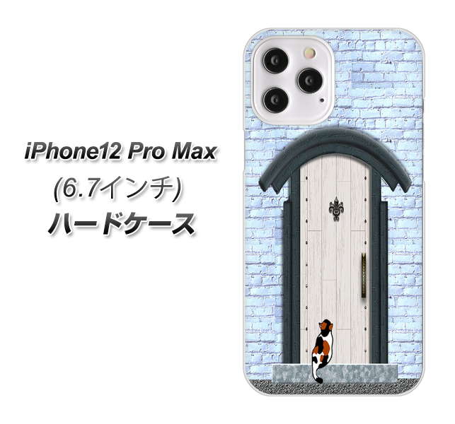 iPhone12 Pro Max 高画質仕上げ 背面印刷 ハードケース【YA951 石ドア01】