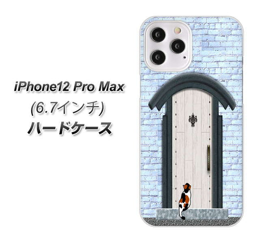 iPhone12 Pro Max 高画質仕上げ 背面印刷 ハードケース【YA951 石ドア01】