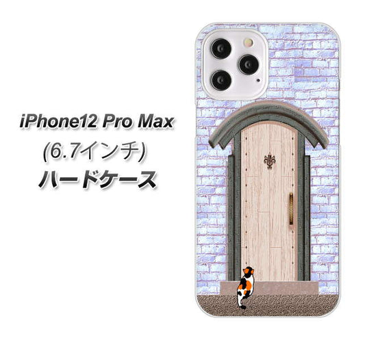 iPhone12 Pro Max 高画質仕上げ 背面印刷 ハードケース【YA952 石ドア02 素材クリア】