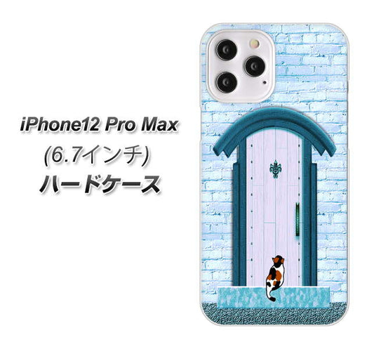 iPhone12 Pro Max 高画質仕上げ 背面印刷 ハードケース【YA953 石ドア03 素材クリア】