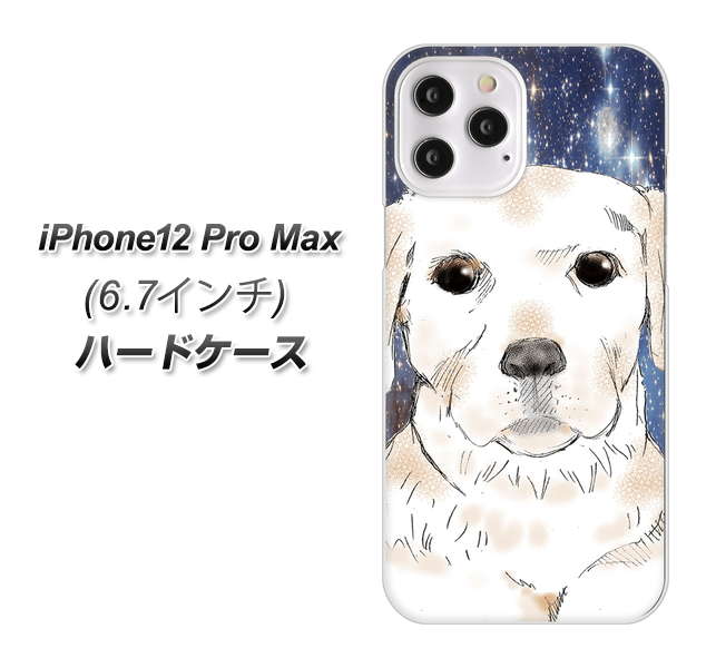 iPhone12 Pro Max 高画質仕上げ 背面印刷 ハードケース【YD820 ラブラドールレトリバー01】