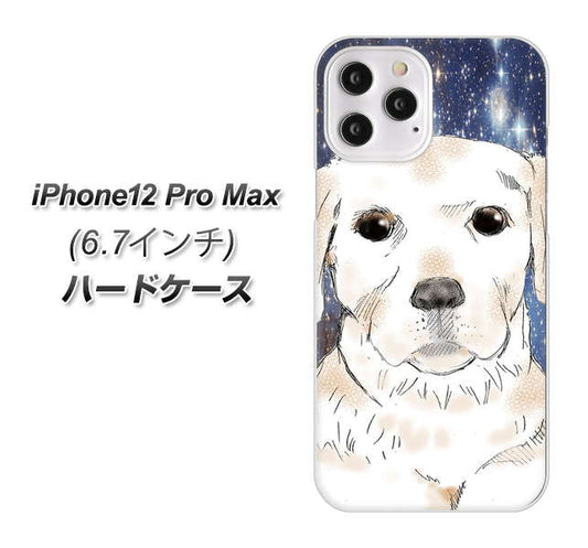 iPhone12 Pro Max 高画質仕上げ 背面印刷 ハードケース【YD820 ラブラドールレトリバー01】