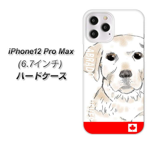 iPhone12 Pro Max 高画質仕上げ 背面印刷 ハードケース【YD821 ラブラドールレトリバー02】