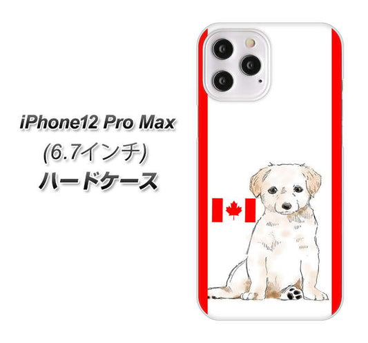 iPhone12 Pro Max 高画質仕上げ 背面印刷 ハードケース【YD824 ラブラドールレトリバー05】