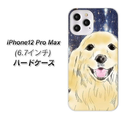 iPhone12 Pro Max 高画質仕上げ 背面印刷 ハードケース【YD828 ゴールデンレトリバー04】