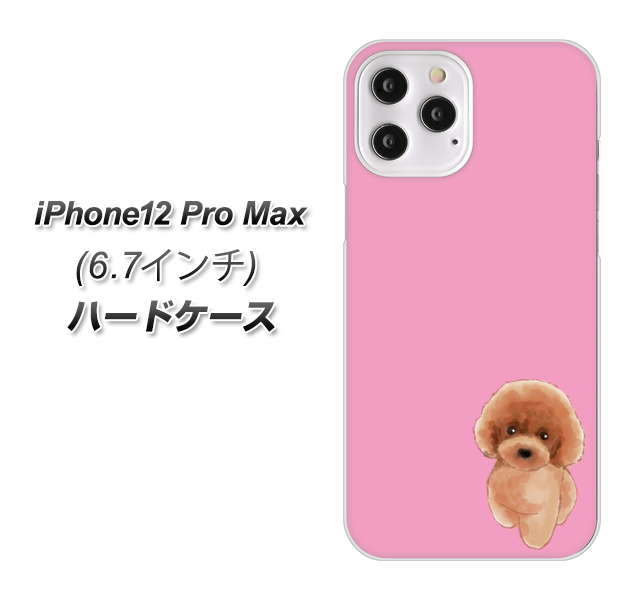 iPhone12 Pro Max 高画質仕上げ 背面印刷 ハードケース【YJ049 トイプードルレッド（ピンク）】