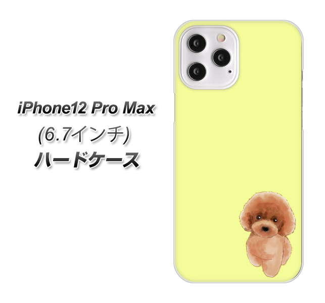 iPhone12 Pro Max 高画質仕上げ 背面印刷 ハードケース【YJ051 トイプードルレッド（イエロー）】