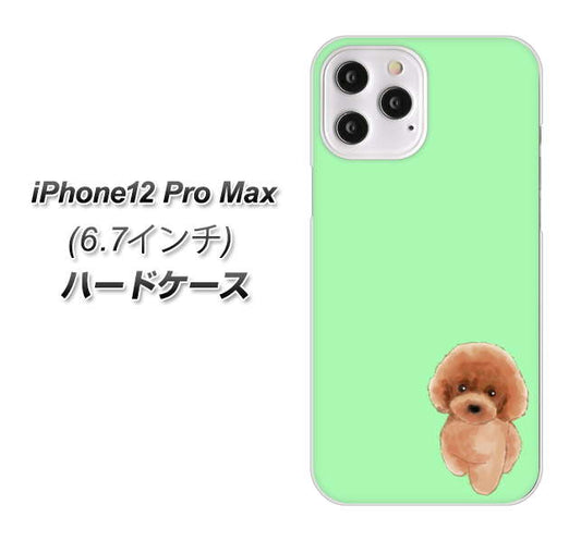 iPhone12 Pro Max 高画質仕上げ 背面印刷 ハードケース【YJ052 トイプードルレッド（ グリーン）】