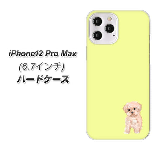 iPhone12 Pro Max 高画質仕上げ 背面印刷 ハードケース【YJ064 トイプードルアプリコット（イエロー）】