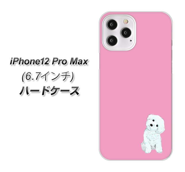 iPhone12 Pro Max 高画質仕上げ 背面印刷 ハードケース【YJ069 トイプードルホワイト（ピンク）】