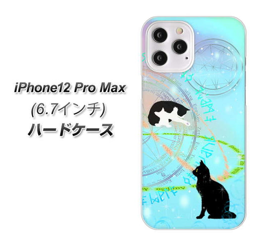 iPhone12 Pro Max 高画質仕上げ 背面印刷 ハードケース【YJ329 魔法陣猫　キラキラ　パステル】