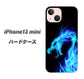 iPhone13 mini 高画質仕上げ 背面印刷 ハードケース【616 ドラゴンの叫び】