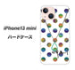 iPhone13 mini 高画質仕上げ 背面印刷 ハードケース【OE819 10月オパール】