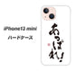 iPhone13 mini 高画質仕上げ 背面印刷 ハードケース【OE846 あっぱれ！】