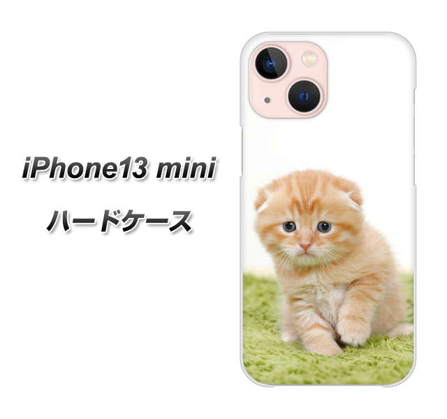 iPhone13 mini 高画質仕上げ 背面印刷 ハードケース【VA802 ネコこっそり】