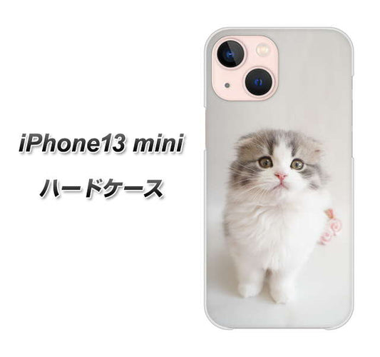iPhone13 mini 高画質仕上げ 背面印刷 ハードケース【VA803 まっていますネコ】