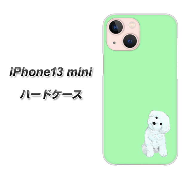 iPhone13 mini 高画質仕上げ 背面印刷 ハードケース【YJ071 トイプードルホワイト（グリーン）】