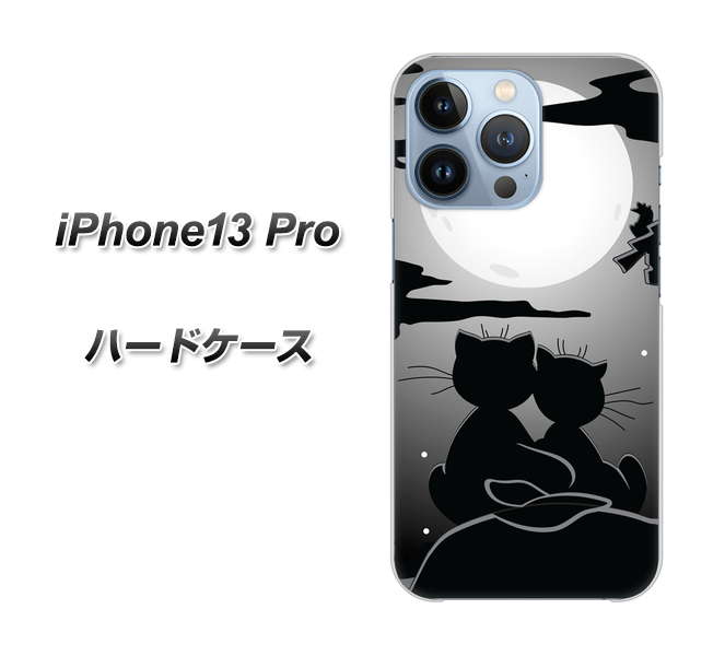 iPhone13 Pro 高画質仕上げ 背面印刷 ハードケース【342 月夜の二人】