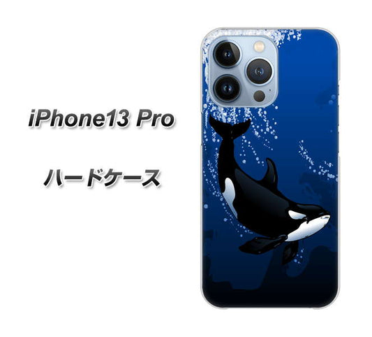 iPhone13 Pro 高画質仕上げ 背面印刷 ハードケース【423 シャチ】