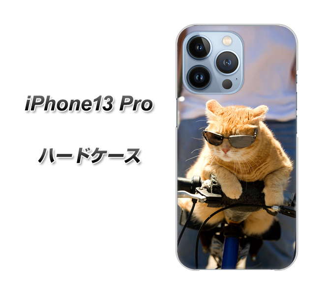 iPhone13 Pro 高画質仕上げ 背面印刷 ハードケース【595 にゃんとサイクル】