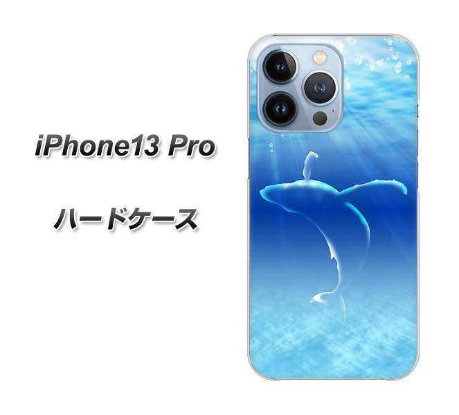 iPhone13 Pro 高画質仕上げ 背面印刷 ハードケース【1047 海の守り神くじら】