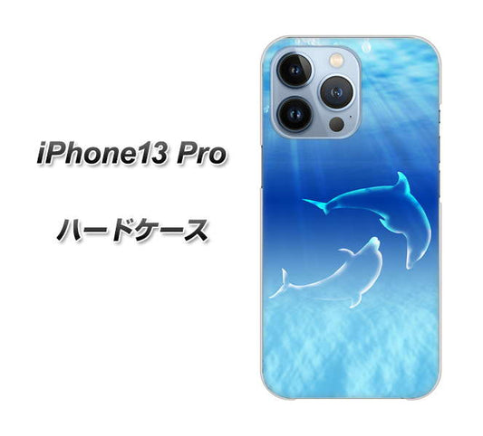 iPhone13 Pro 高画質仕上げ 背面印刷 ハードケース【1048 海の守り神イルカ】