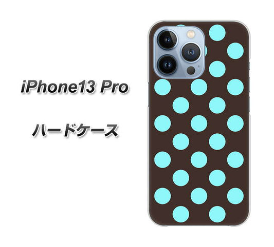 iPhone13 Pro 高画質仕上げ 背面印刷 ハードケース【1352 シンプルビッグ水色茶】