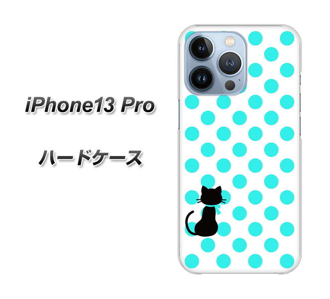 iPhone13 Pro 高画質仕上げ 背面印刷 ハードケース【EK809 ネコとシンプル ライトブルー】