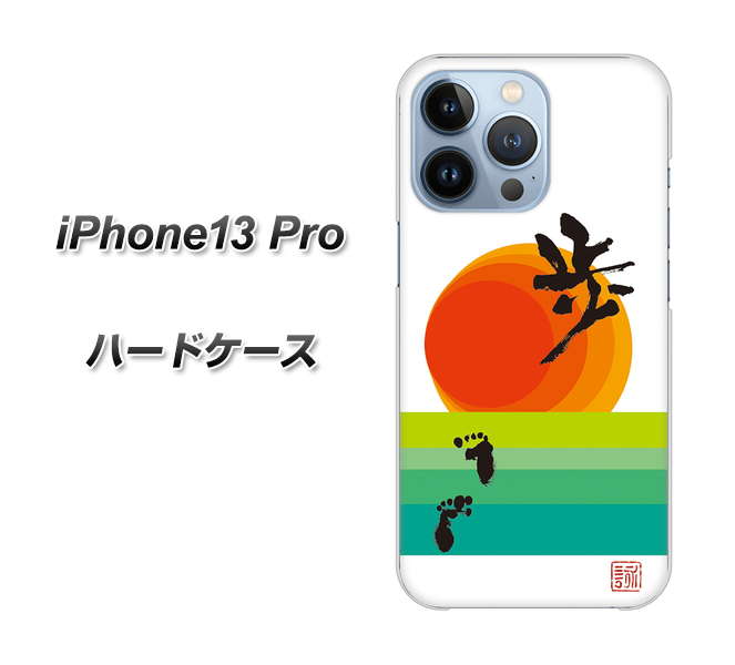 iPhone13 Pro 高画質仕上げ 背面印刷 ハードケース【OE809 歩ム】
