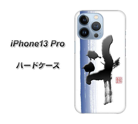 iPhone13 Pro 高画質仕上げ 背面印刷 ハードケース【OE829 斗】