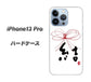 iPhone13 Pro 高画質仕上げ 背面印刷 ハードケース【OE831 結】