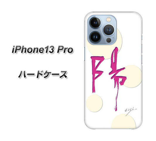 iPhone13 Pro 高画質仕上げ 背面印刷 ハードケース【OE833 陽】
