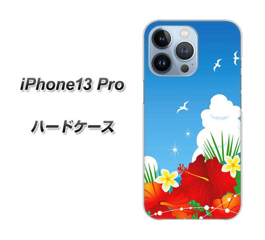 iPhone13 Pro 高画質仕上げ 背面印刷 ハードケース【VA821 ハイビスカスと青空】