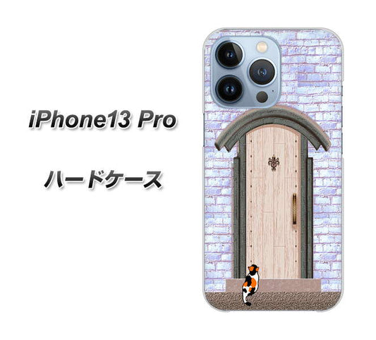 iPhone13 Pro 高画質仕上げ 背面印刷 ハードケース【YA952 石ドア02 素材クリア】