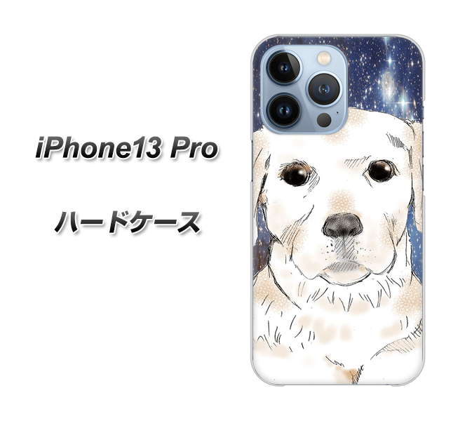 iPhone13 Pro 高画質仕上げ 背面印刷 ハードケース【YD820 ラブラドールレトリバー01】
