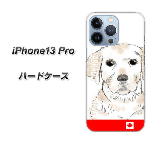 iPhone13 Pro 高画質仕上げ 背面印刷 ハードケース【YD821 ラブラドールレトリバー02】