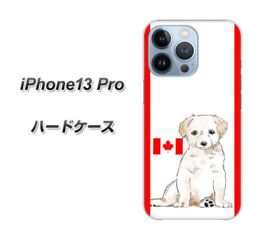iPhone13 Pro 高画質仕上げ 背面印刷 ハードケース【YD824 ラブラドールレトリバー05】