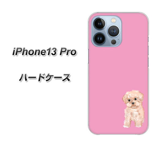 iPhone13 Pro 高画質仕上げ 背面印刷 ハードケース【YJ061 トイプードルアプリコット（ピンク）】