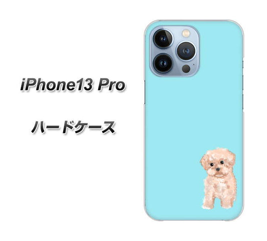 iPhone13 Pro 高画質仕上げ 背面印刷 ハードケース【YJ062 トイプードルアプリコット（ブルー）】