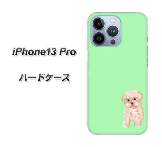 iPhone13 Pro 高画質仕上げ 背面印刷 ハードケース【YJ063 トイプードルアプリコット（グリーン）】