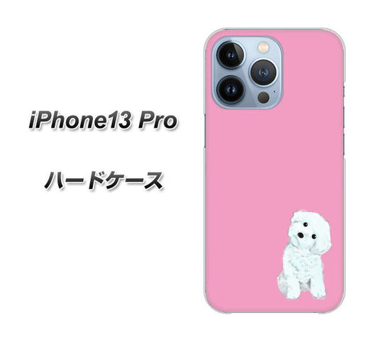 iPhone13 Pro 高画質仕上げ 背面印刷 ハードケース【YJ069 トイプードルホワイト（ピンク）】