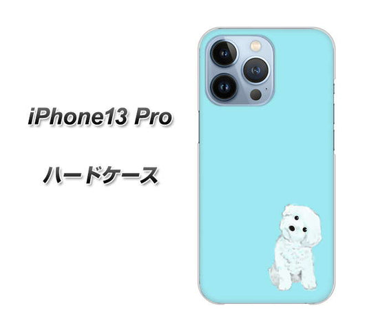 iPhone13 Pro 高画質仕上げ 背面印刷 ハードケース【YJ070 トイプードルホワイト（ブルー）】