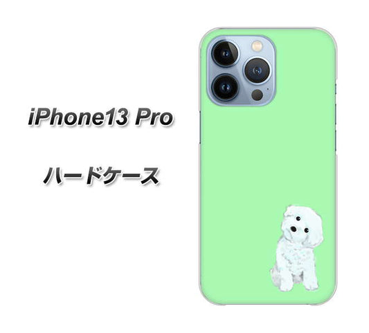 iPhone13 Pro 高画質仕上げ 背面印刷 ハードケース【YJ071 トイプードルホワイト（グリーン）】