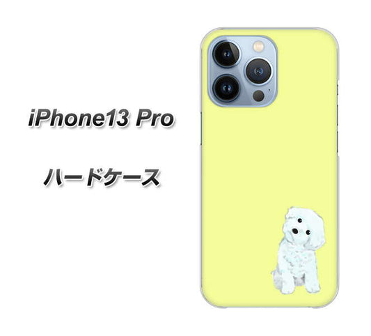 iPhone13 Pro 高画質仕上げ 背面印刷 ハードケース【YJ072 トイプードルホワイト（イエロー）】