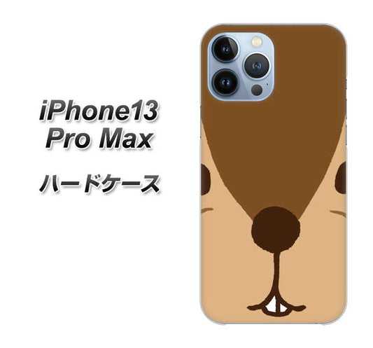 iPhone13 Pro Max 高画質仕上げ 背面印刷 ハードケース【349 りす】