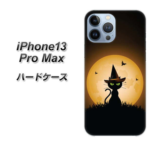 iPhone13 Pro Max 高画質仕上げ 背面印刷 ハードケース【440 猫の魔法使い】