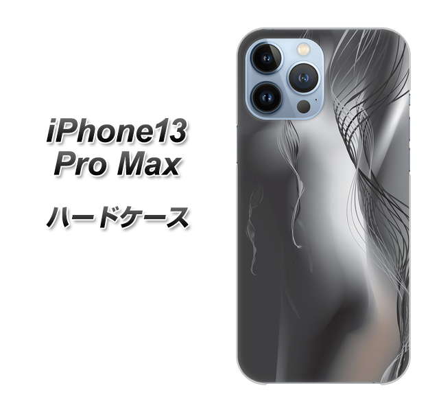 iPhone13 Pro Max 高画質仕上げ 背面印刷 ハードケース【566 ボディウォール】